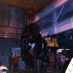 15ft 5 Blade Kaplan Runner during removal